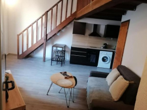 Studio mezzanine en hyper centre